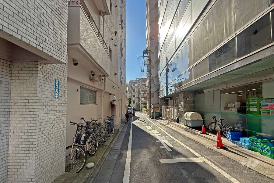 敷地の西側前面道路（北側から）