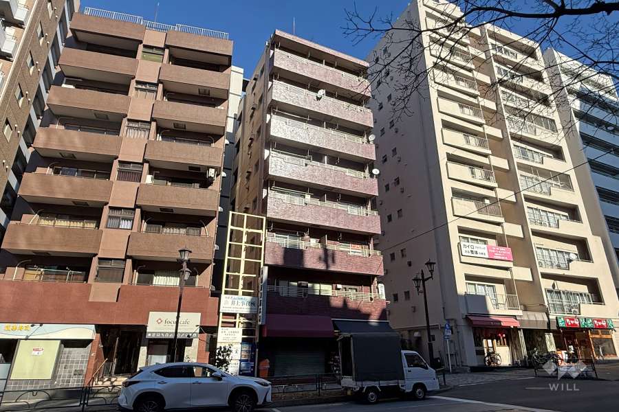 パーソナルハイツ池袋の外観（南西側から）