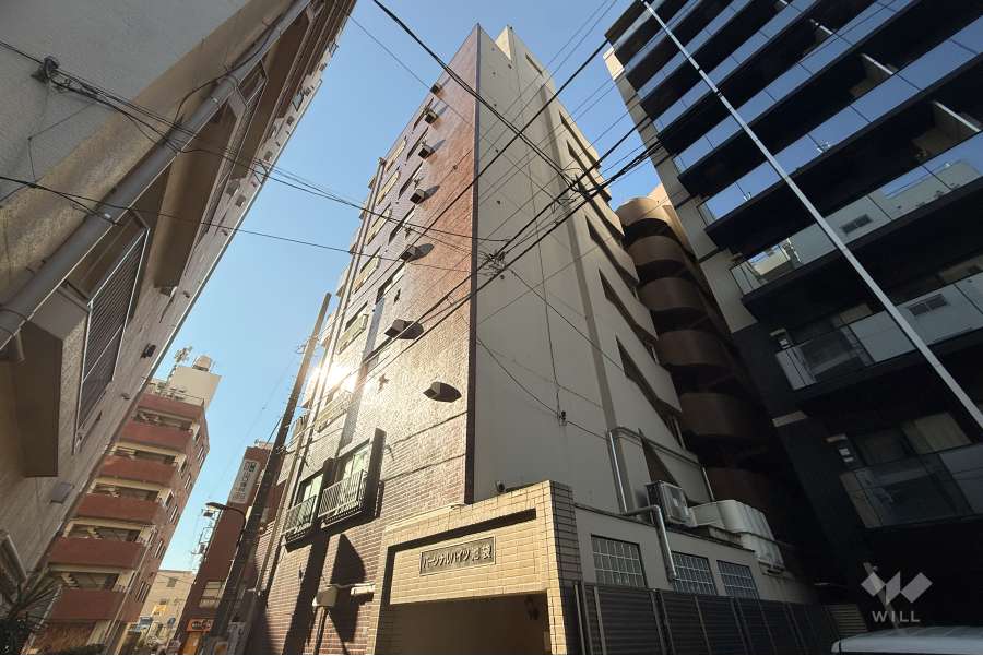パーソナルハイツ池袋の外観（北東側から）