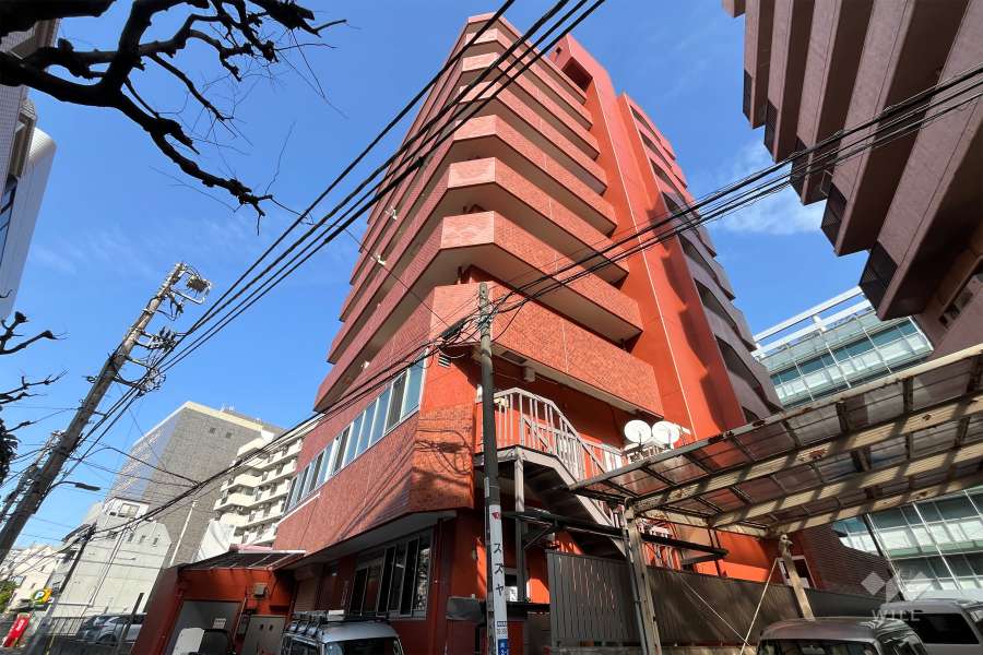 ダイアパレス高田馬場の外観（南東側から）