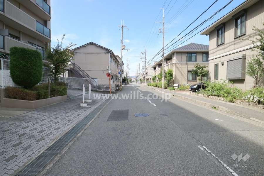 敷地東側の前面道路（南側から）