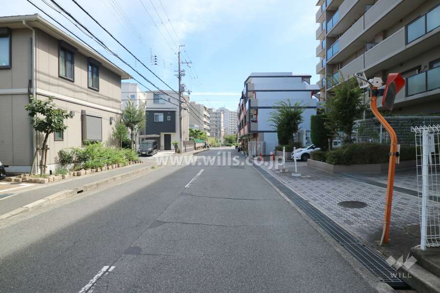 敷地東側の前面道路（北側から）