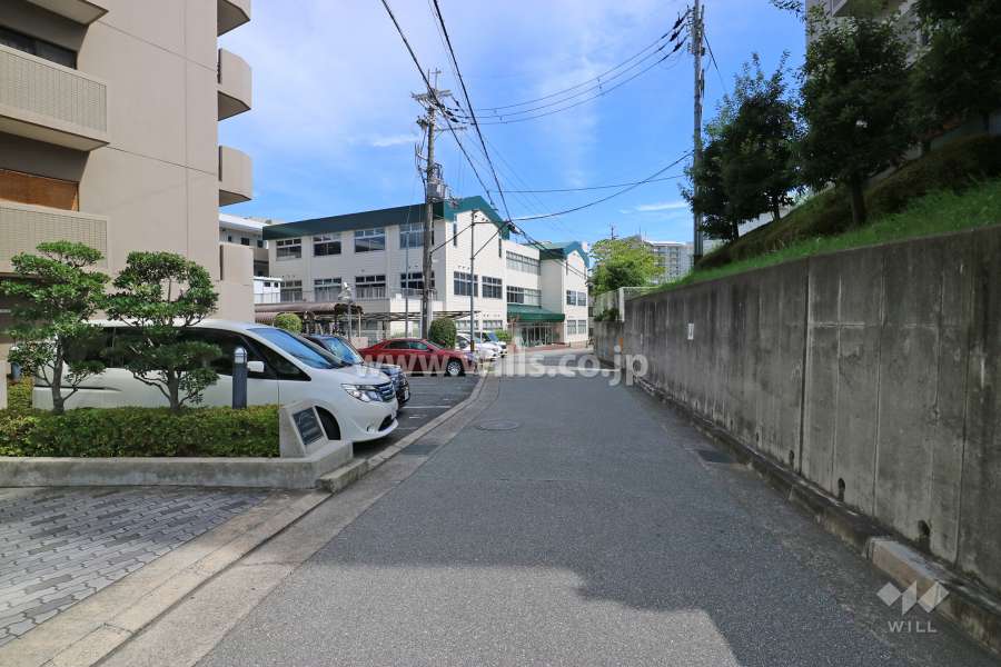 敷地西側の前面道路（北側から）