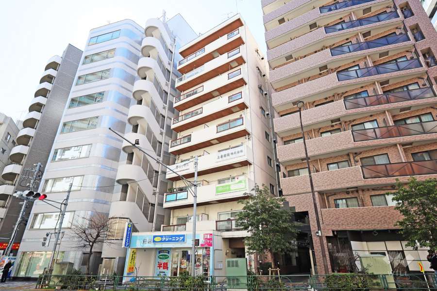 ウェルシャン第2池袋の外観（北東側から）