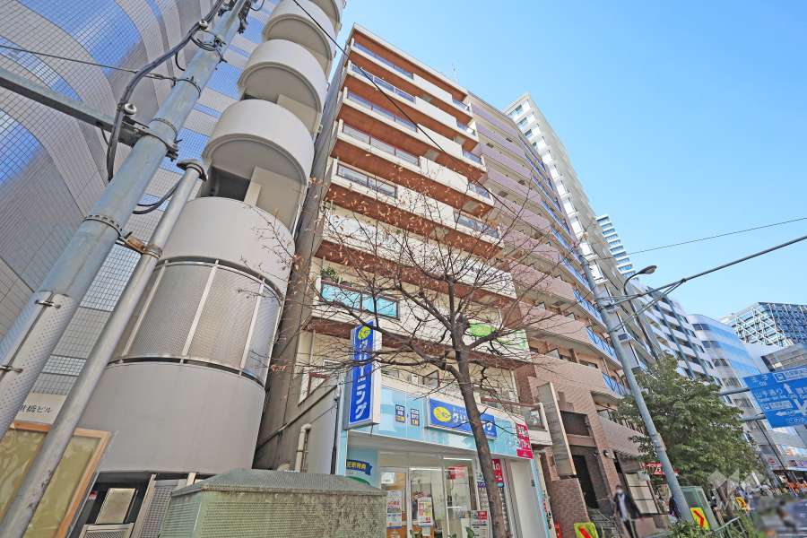 ウェルシャン第2池袋の外観（南東側から）