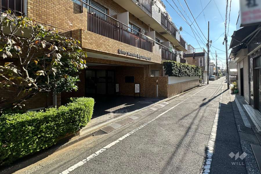 敷地の西側前面道路（北側から）