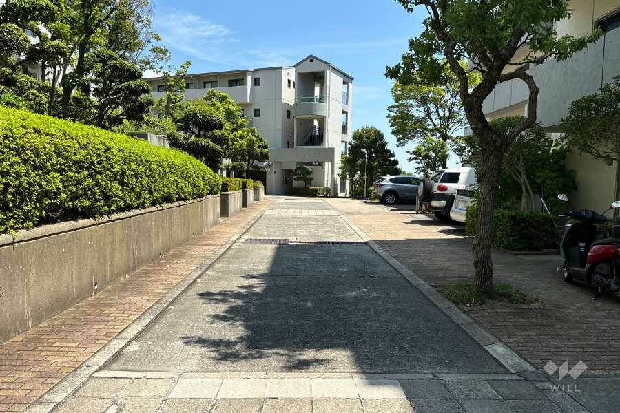 敷地内の各所に植栽スペースが設けられています。