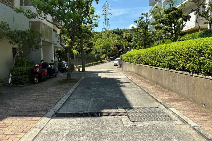 敷地内の各所に植栽スペースが設けられています。