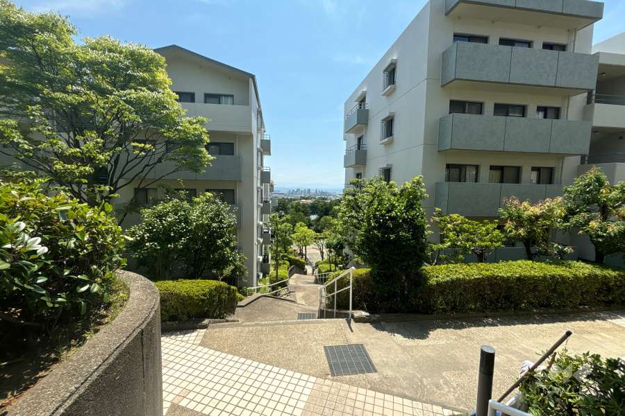 敷地内の通路。植栽が緑豊かです。