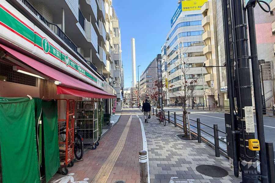 敷地南側の前面道路（西側から）