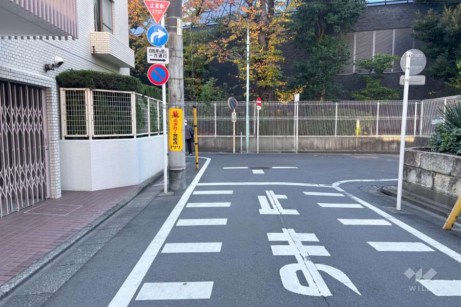 敷地西側の前面道路（北側から）