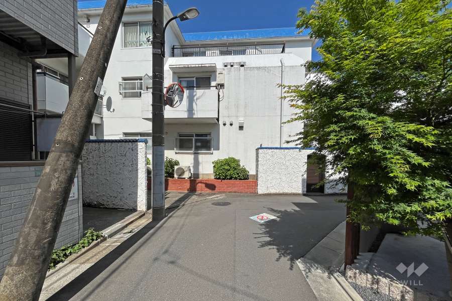 敷地の西側前面道路（西側から）