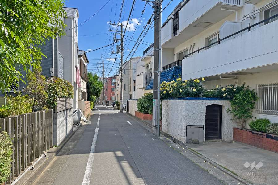 敷地の東側前面道路（北側から）