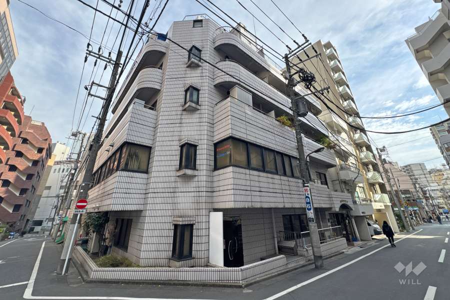 ホワイトパレスシンワの外観（西側から）.