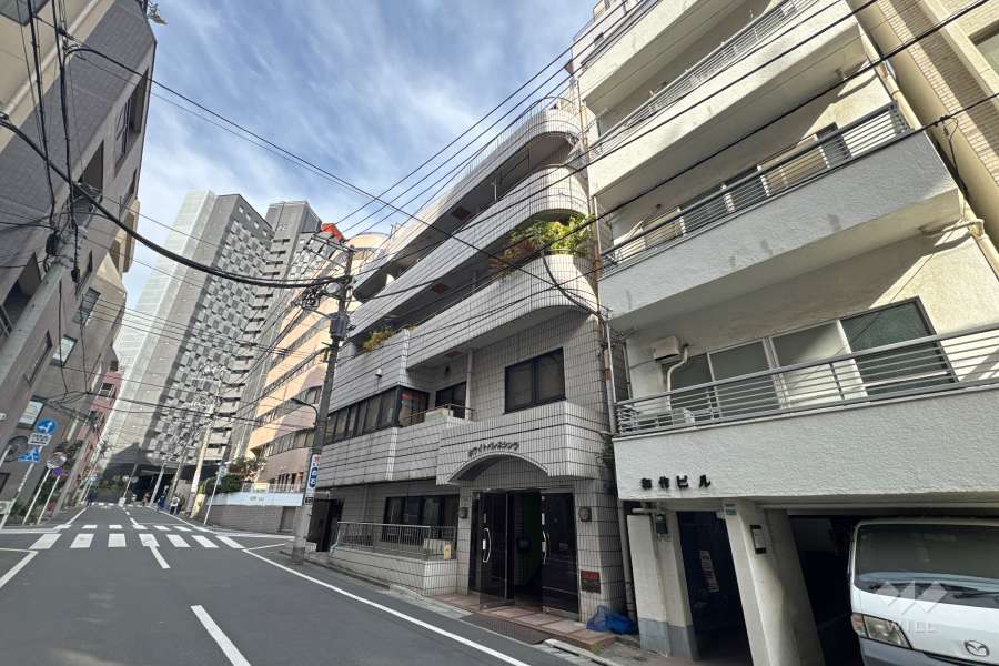 ホワイトパレスシンワの外観（南西側から）