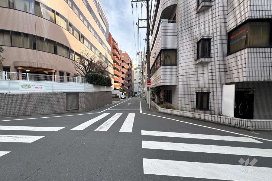 敷地の北西側前面道路（南西側から）