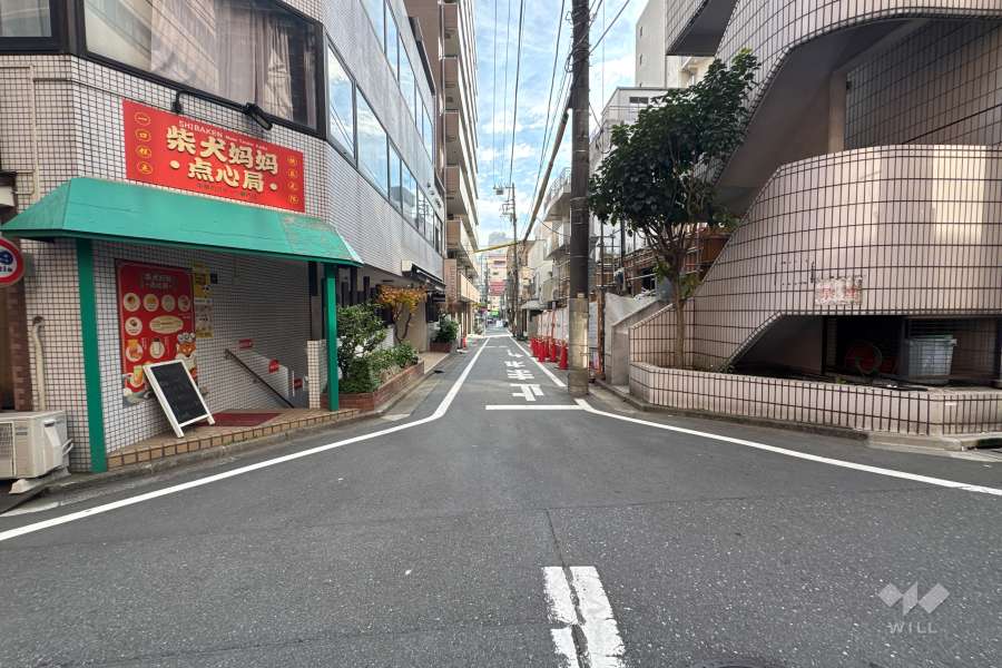 敷地の北東側前面道路（北西側から）