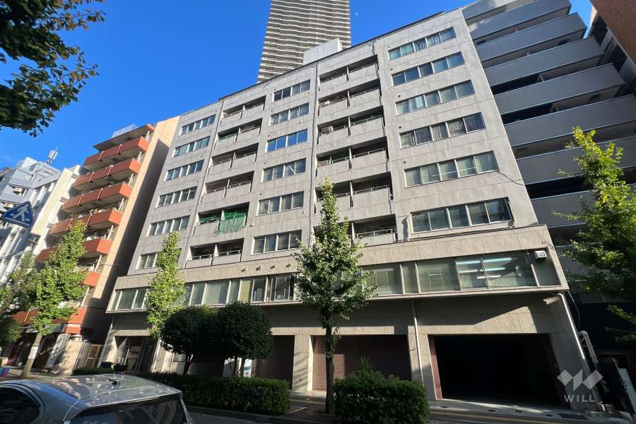 パレス南池袋の外観（西側から）