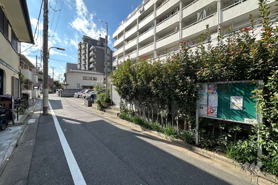 敷地の南東側前面道路（北東側から）