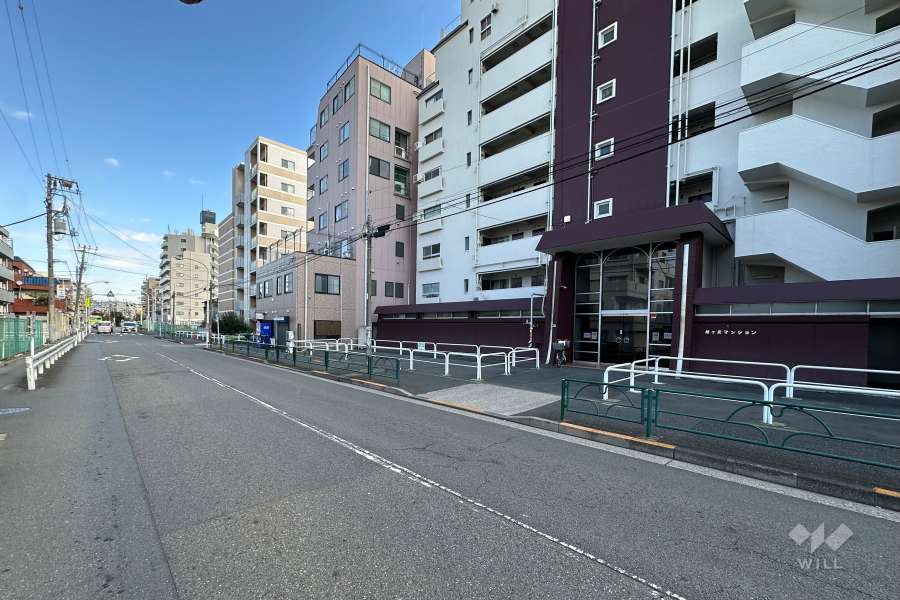 敷地の北西側前面道路（南西側から）