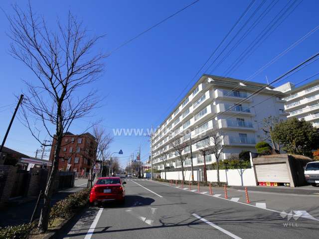 敷地南側の前面道路。街路樹が並ぶ通りです。