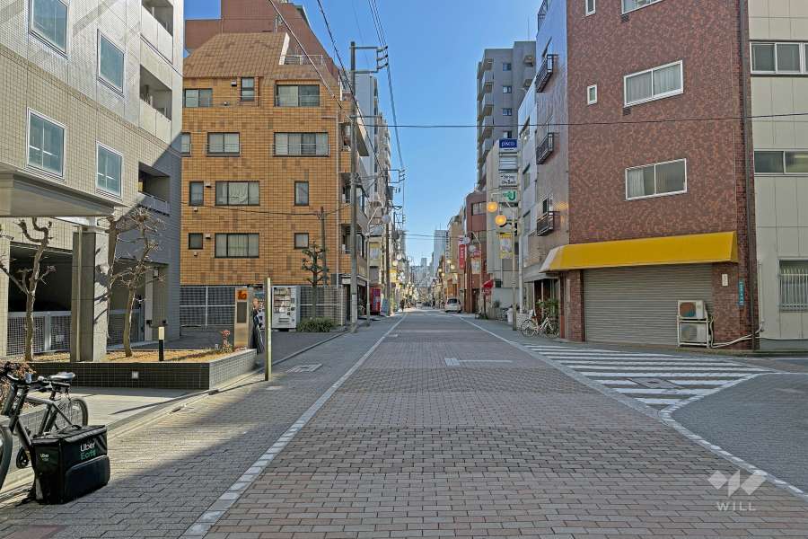 敷地の西側前面道路（南側から）