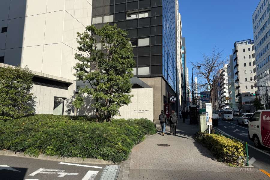敷地の東側前面道路（南側から）