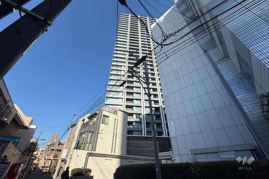 グランドミレーニアの外観（南側から）