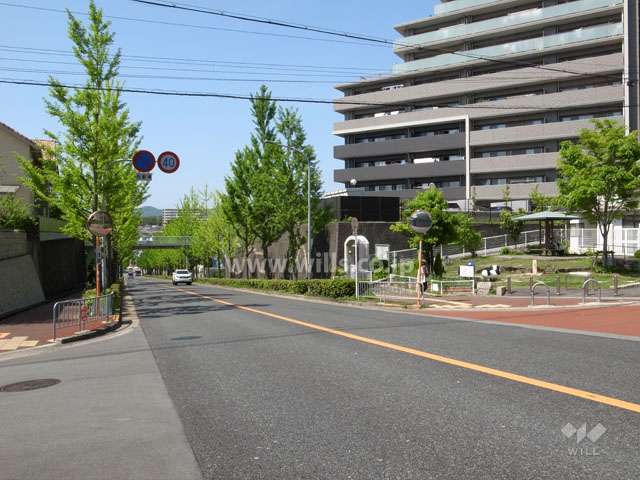 敷地南西側の前面道路（南東側から）