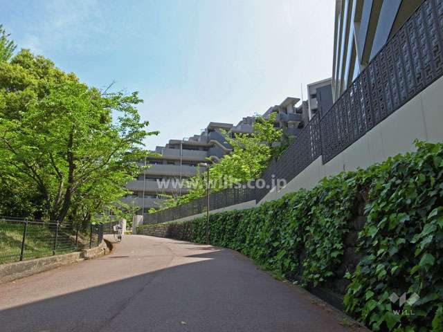 敷地北東側の前面道路（北西側から）