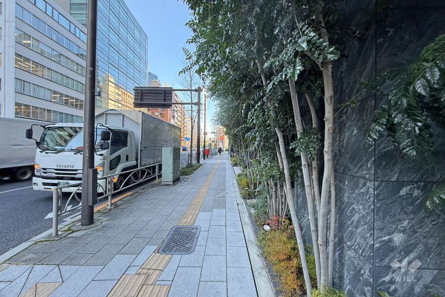 敷地の南西側前面道路（南東側から）