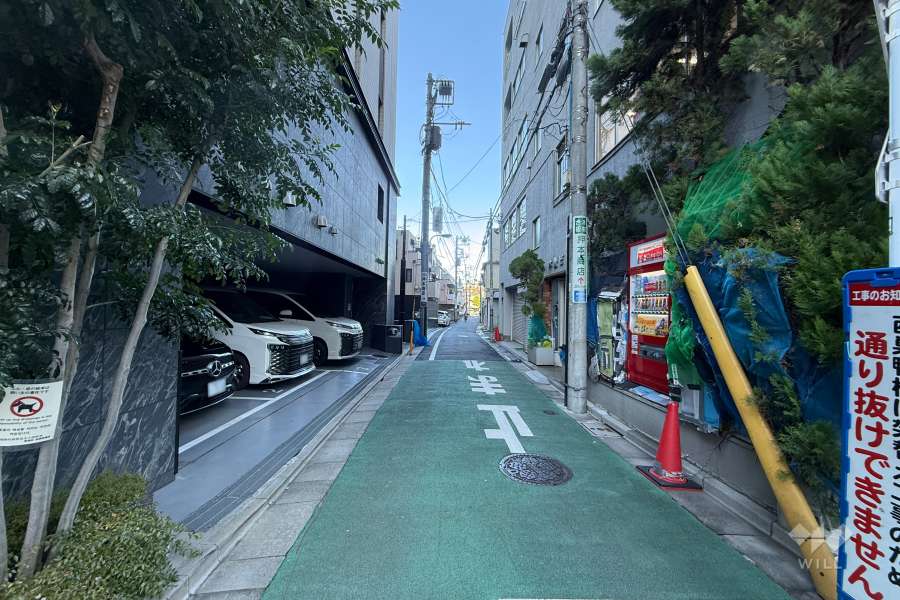 敷地の南東側前面道路（南西側から）