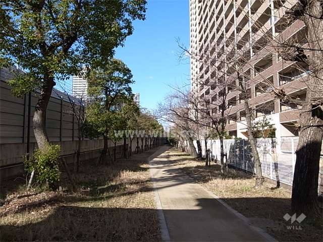 ブライトタウン（B棟）の南側の緑道。緑道を挟んで南側を阪神電車が走っています。
