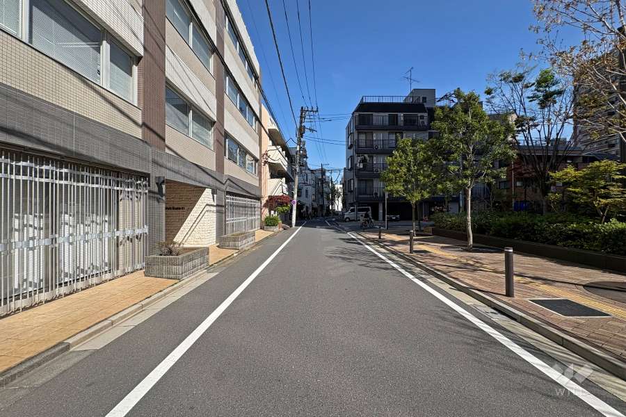 敷地東側の前面道路（北側から）