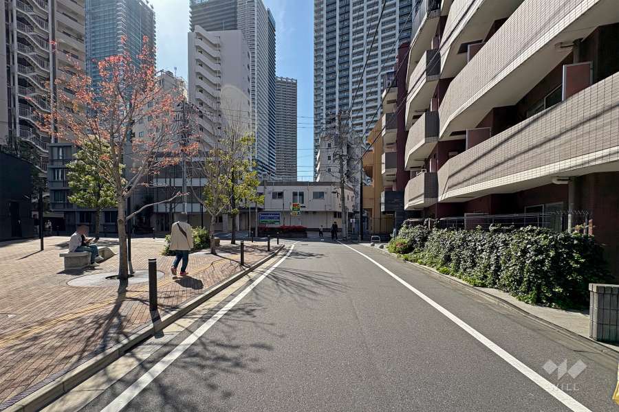 敷地東側の前面道路（南側から）