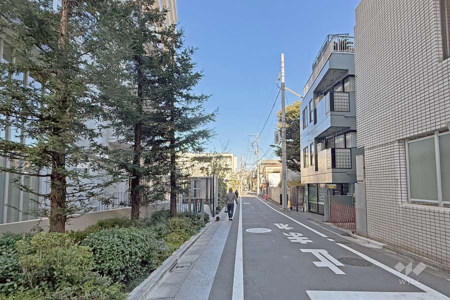 敷地の東側前面道路（南側から）