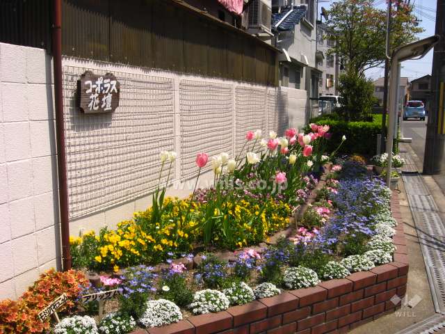 敷地入口に手入れされた花壇があります。