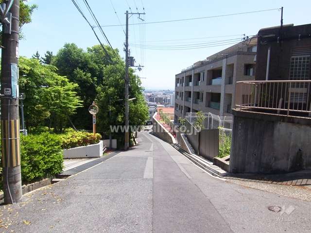 マンション西側の道路