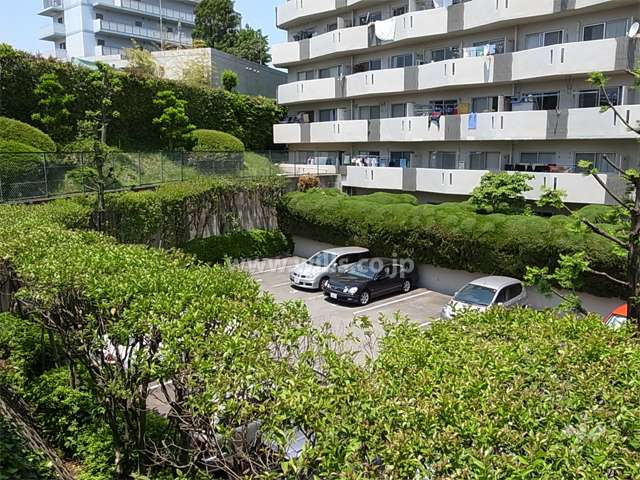 敷地の南側部分は駐車場と緑地スペースになっています。