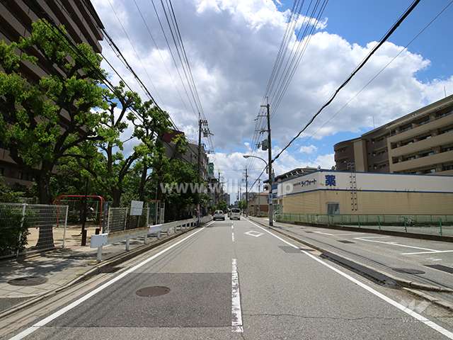 敷地西側の前面道路