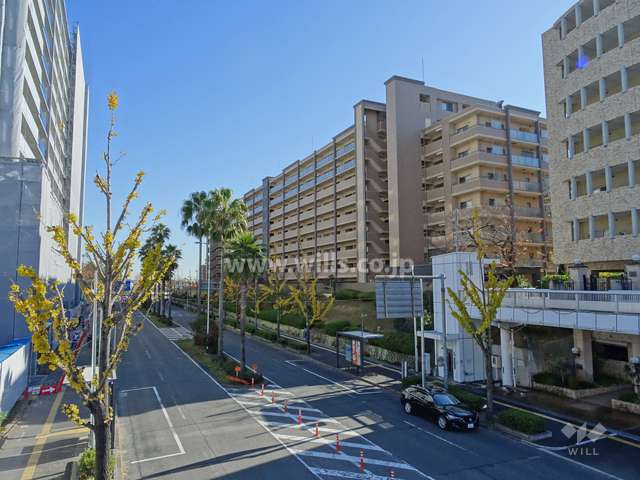 敷地北側の前面道路