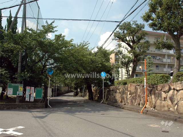 敷地の西側は桜並木の通りを挟んで、第二中学校です。