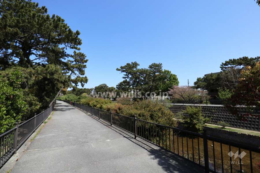 夙川沿いに「夙川オアシスロード」があります。