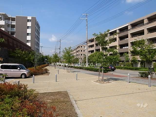 敷地北側の前面道路は、街路樹のある通りです。
