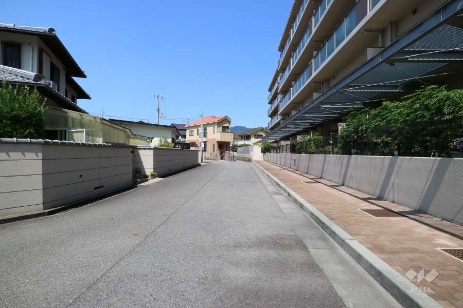 敷地南側の前面道路