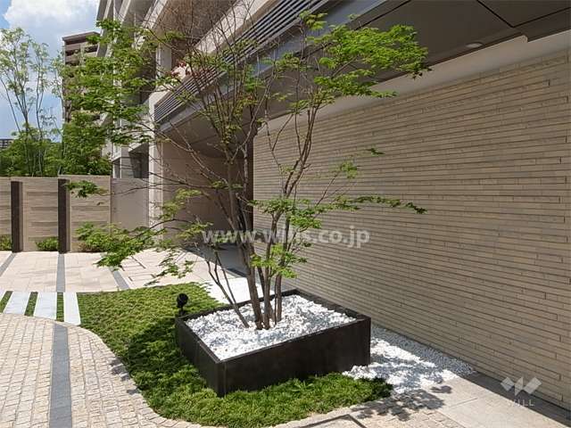 エントランス前のおしゃれな植栽スペース