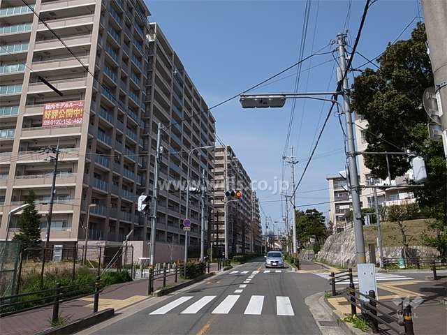 敷地東側の前面道路