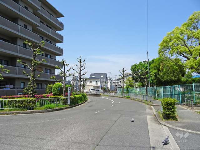 敷地東側の前面道路