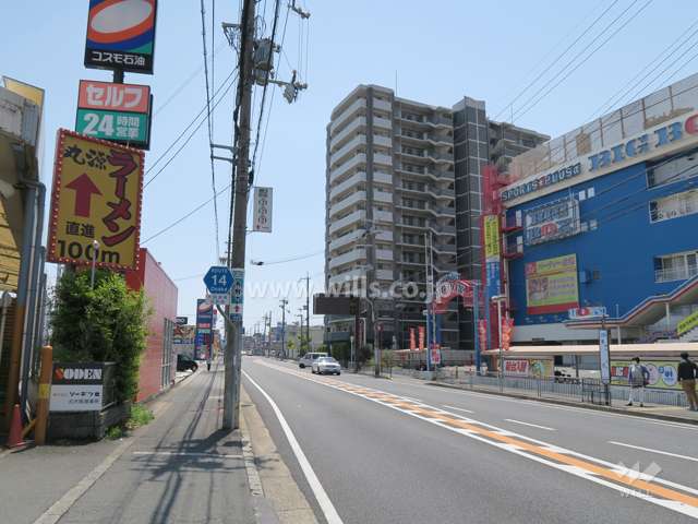 敷地東側の前面道路。二車線のバス通りです。
