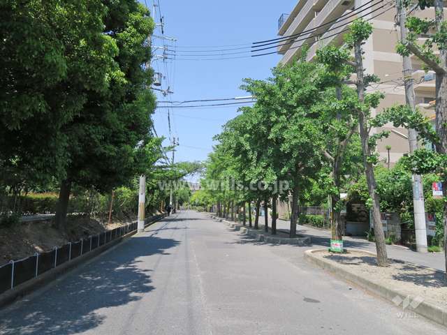 敷地西側の前面道路